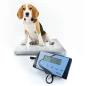 Balança Veterinária - AIS - Baxtran